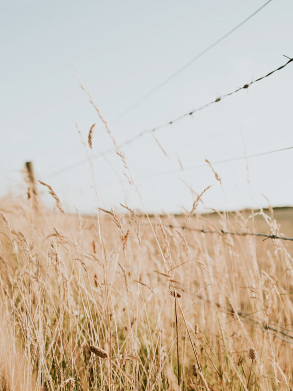 web_template_3_hero_shot6